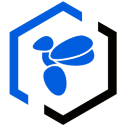 BEELINE AUTO TRANSPORT LLC