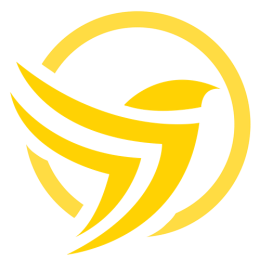 COLIBRI AUTO TRANSPORT INC
