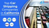 Top Car Shipping Companies in California – November  2025